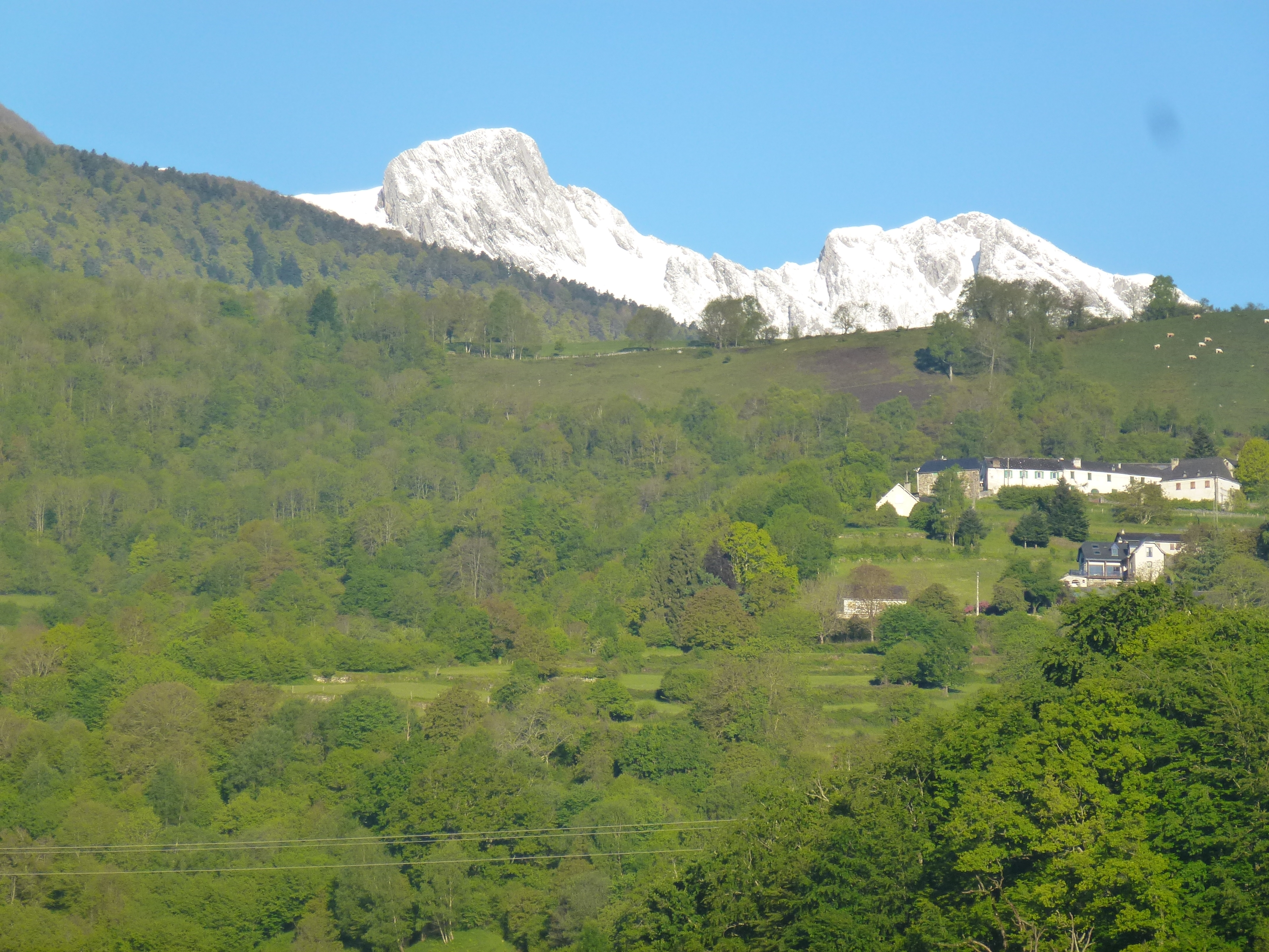 image_1